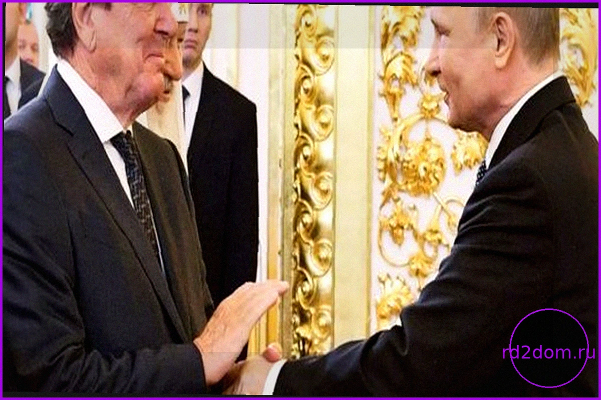 Владимир Путин и экс-канцлер Герхард Шредер провели личную встречу