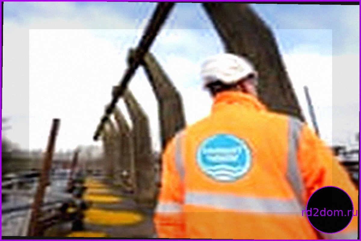 Инвесторы Thames Water заявляют, что временная национализация замедлит восстановление компании