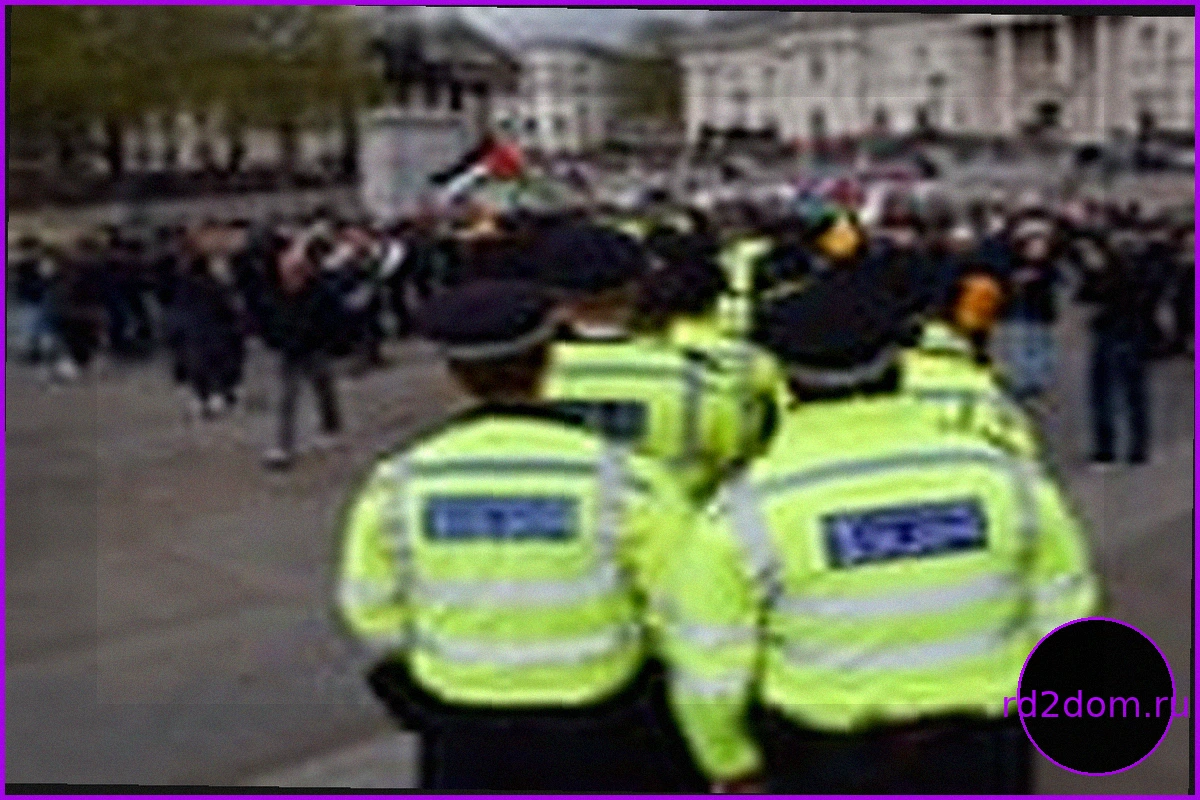 Судебное дело Palestine Action: что поставлено на карту?