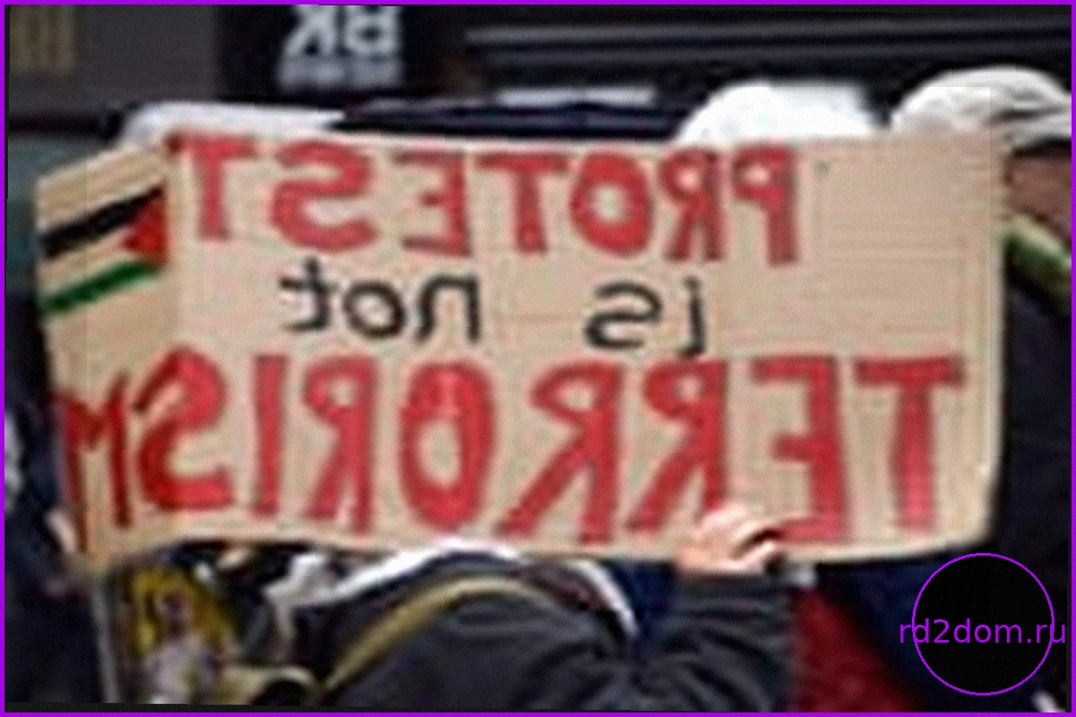 Апелляционный суд Великобритании рассматривает дело о том, что запрет Palestine Action создал «культуру страха»