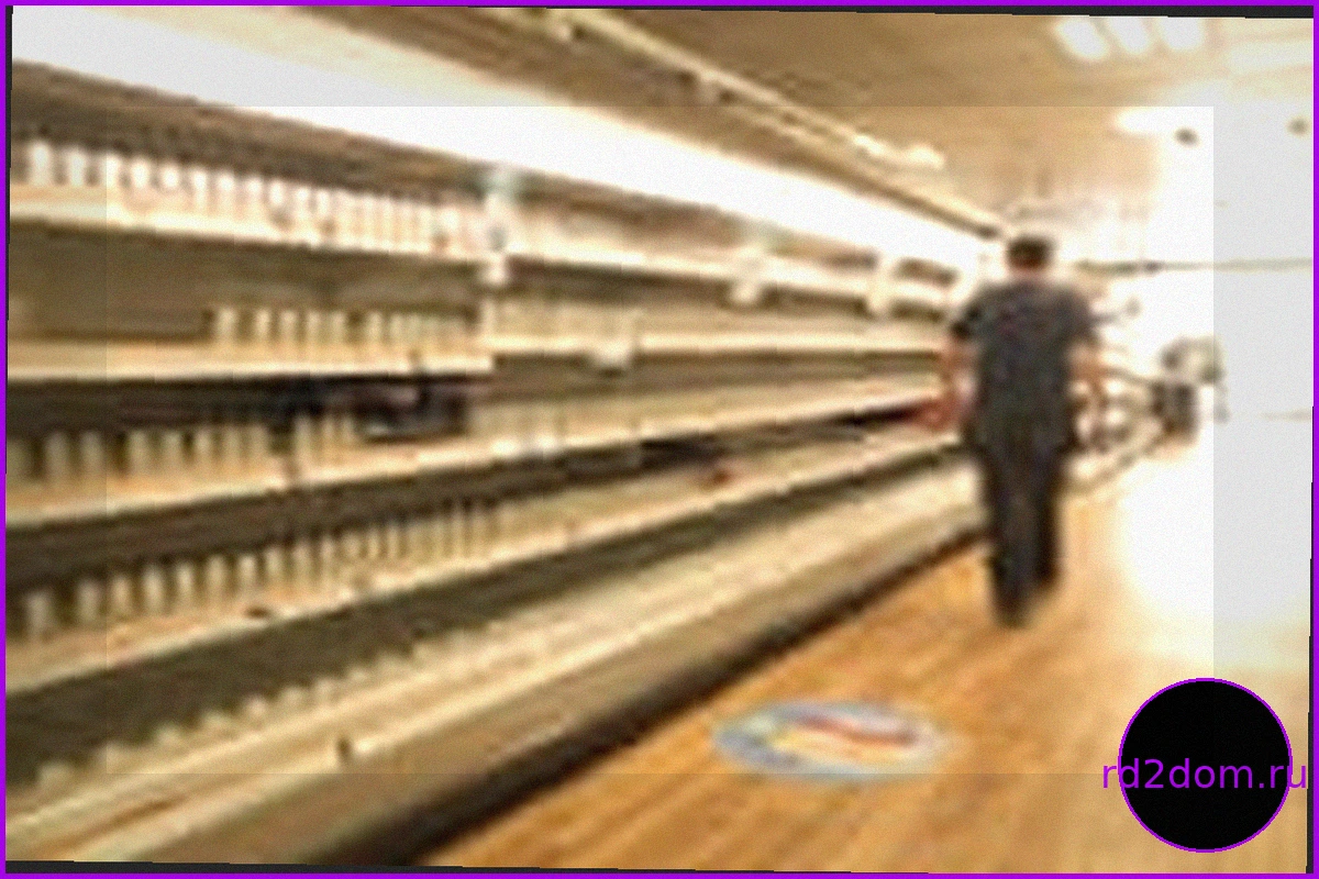 Великобритания в состоянии войны: Как выжить в новой гибридной реальности