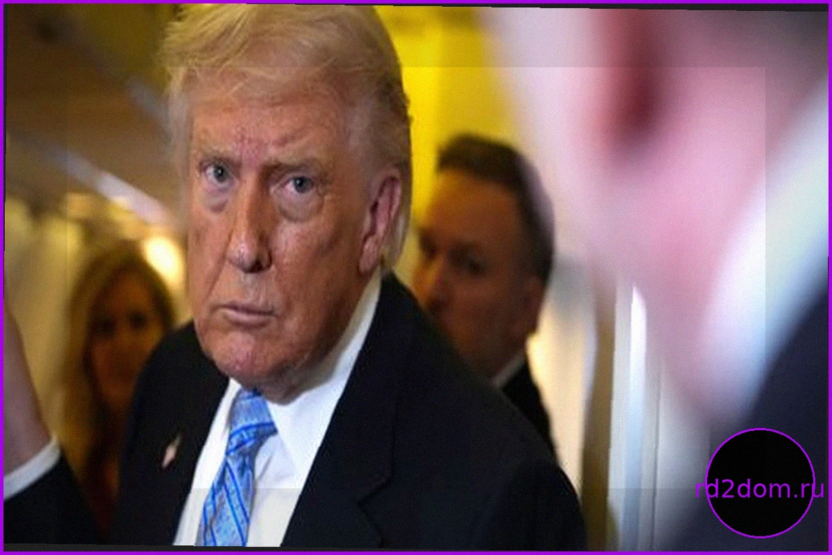 Дональд Трамп отозвал иск на $10 млрд против IRS и учредил фонд для сторонников