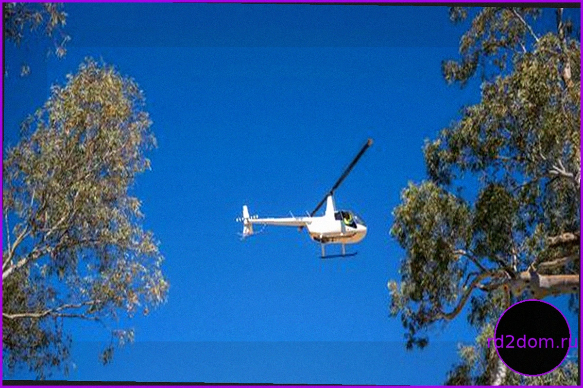 Австралия: Пропавшая пятилетняя Шарон Гранитес найдена мертвой