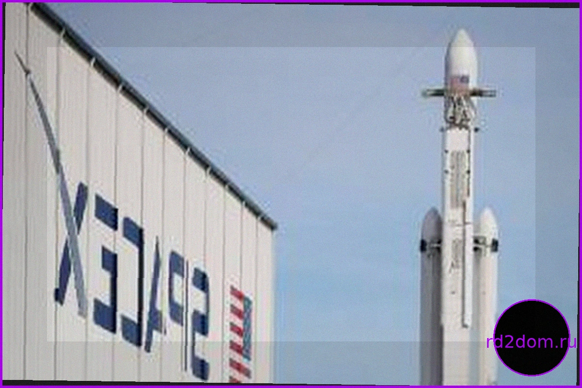 Доступ к SpaceX и OpenAI до IPO: Стратегия захвата ценности до выхода на биржу