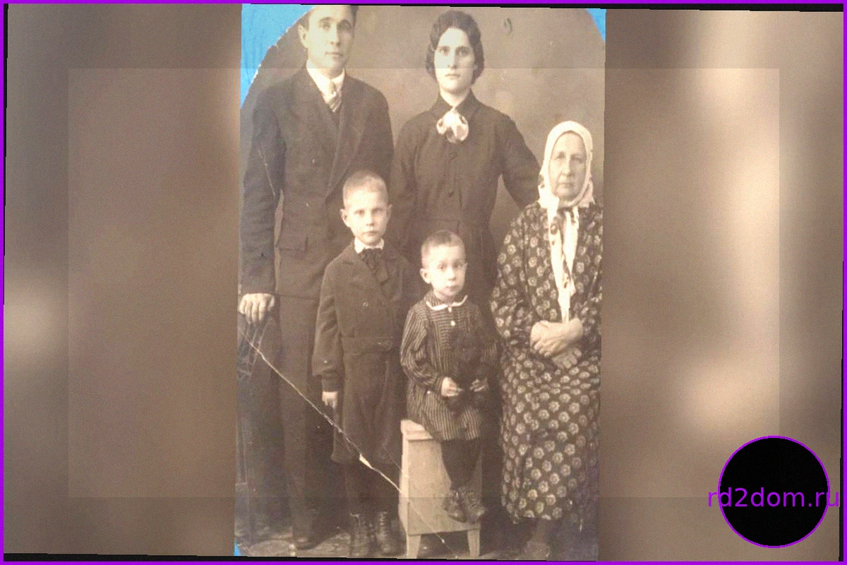 Родословное древо: как найти предков и сколько это стоит