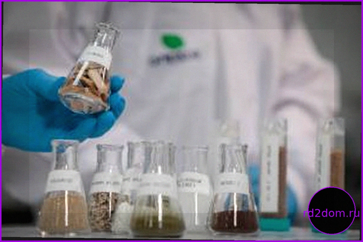 Suzano (SUZB3) сообщает о чистой прибыли в 4,3 млрд реалов в I квартале, что на 32% меньше, чем годом ранее