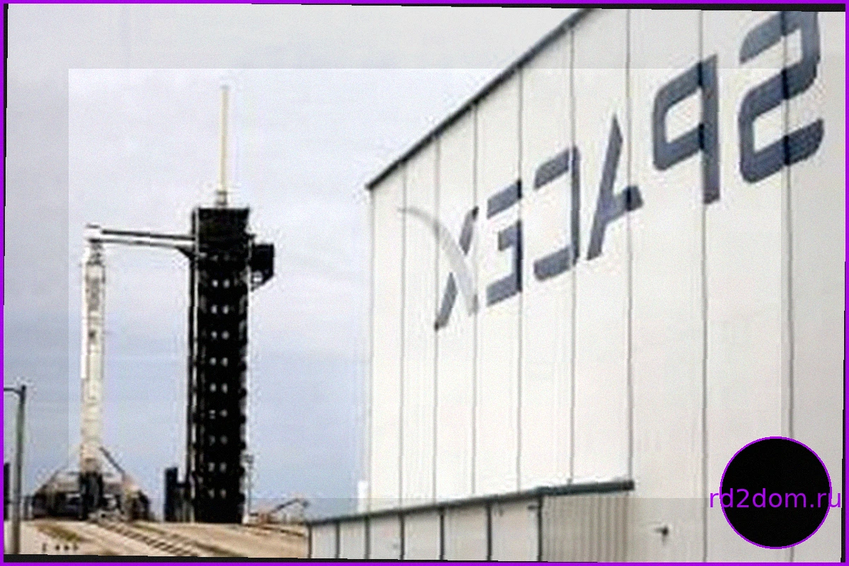 Дебют BDR SpaceX на B3: Акции взлетели более чем на 18% после рекордного IPO