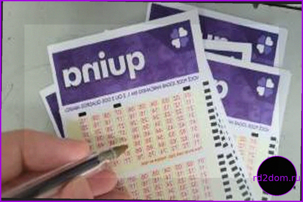 Результаты лотереи Quina: Тираж 7012 за 28 ноября