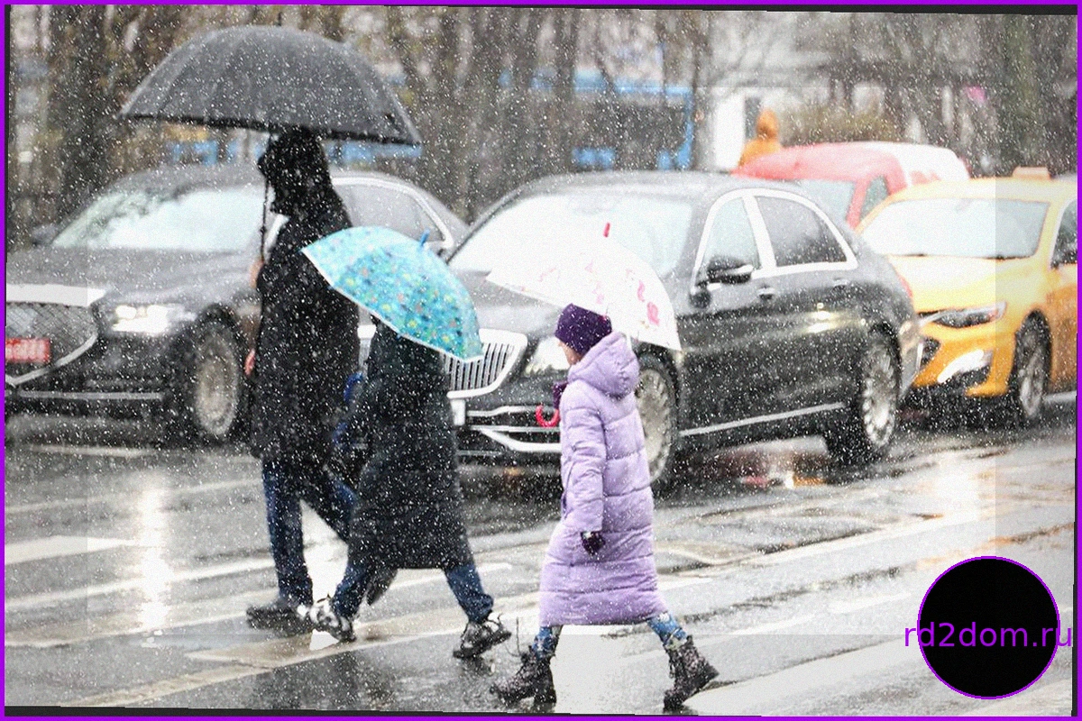 Синоптики предупредили москвичей о снеге с дождем 29 апреля