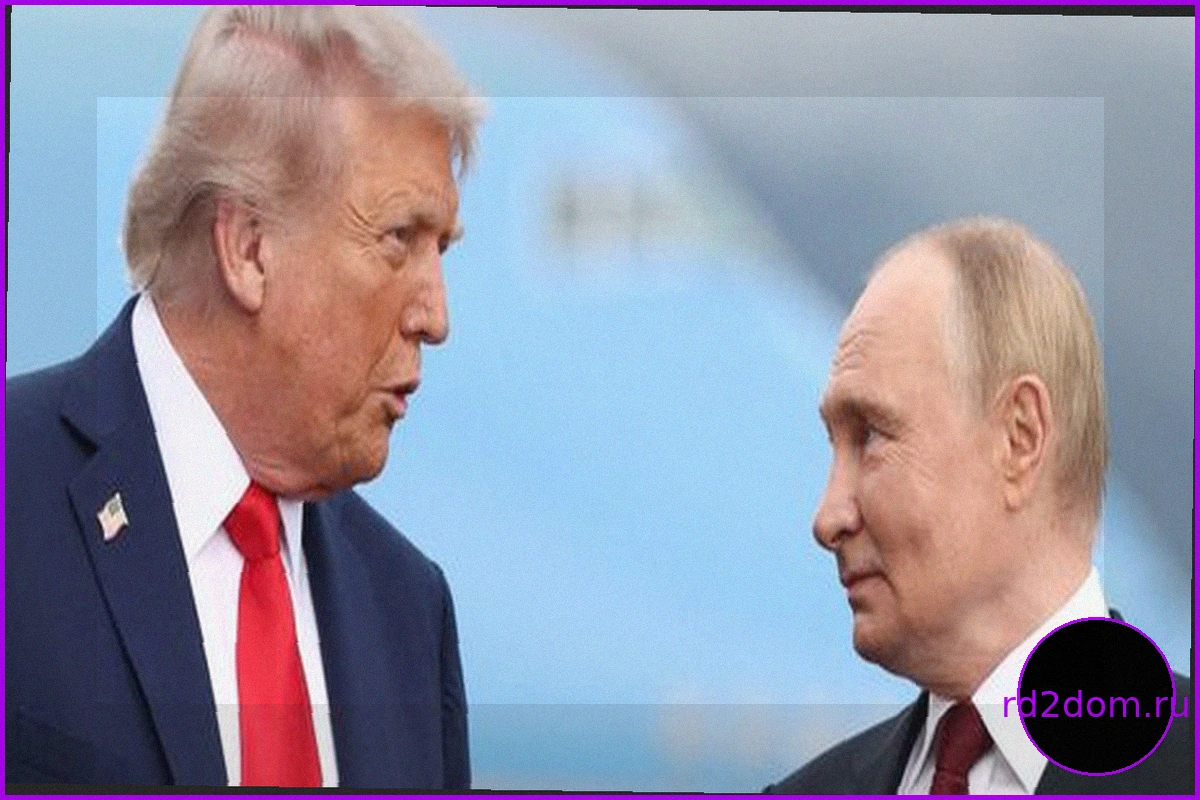 Украинский конфликт: Трамп и Путин обмениваются предложениями о прекращении огня