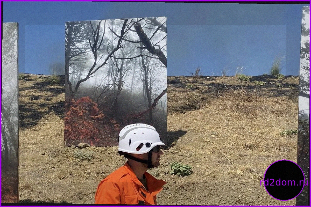 Сицилийские пожары угрожают фотоинсталляции о пожарах: полная история